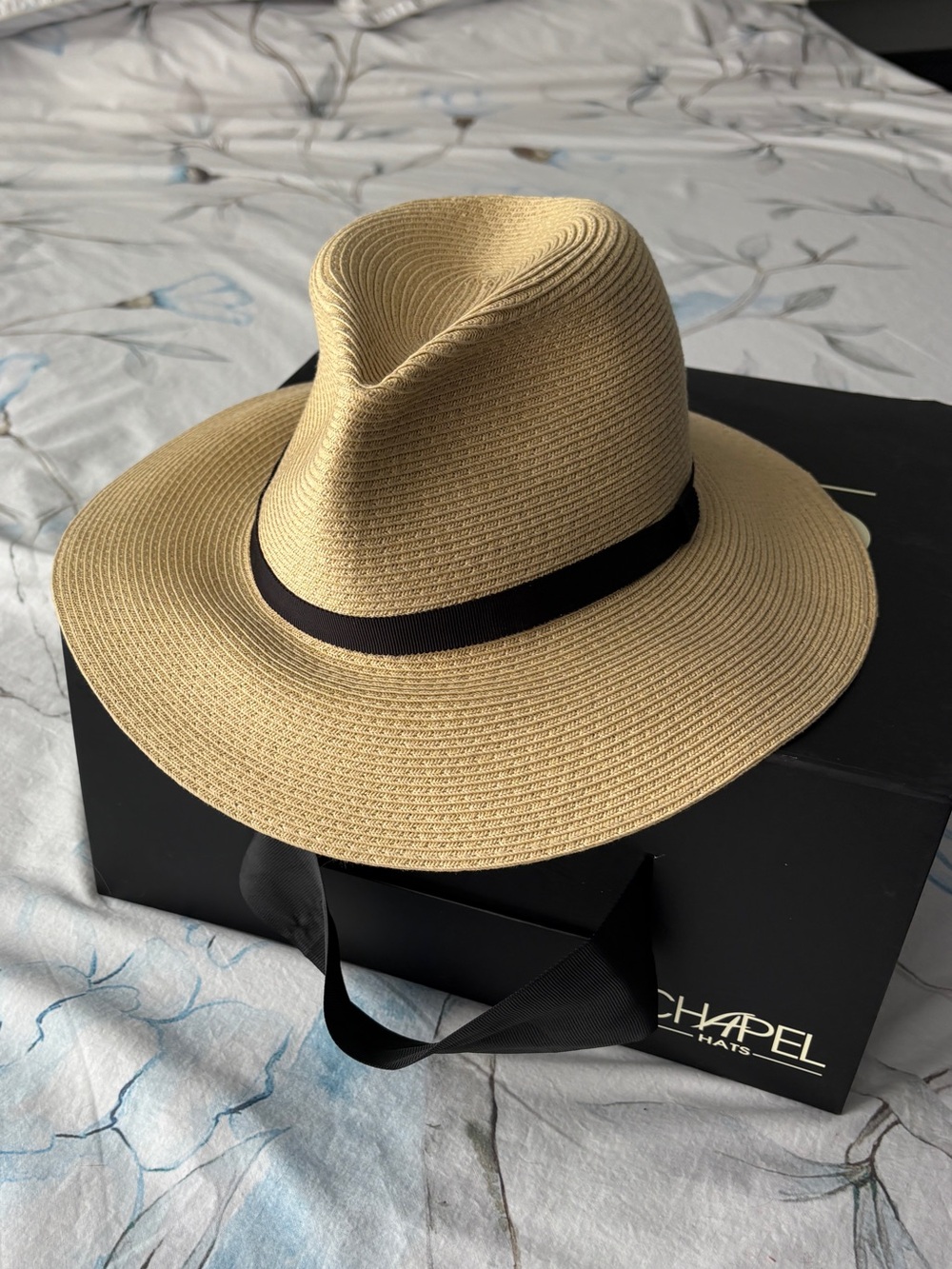 Aritzia Straw Hat with Black Band